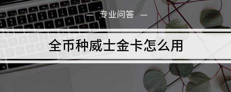 全币种威士金卡怎么用(中国银行的全币种国际芯片卡)