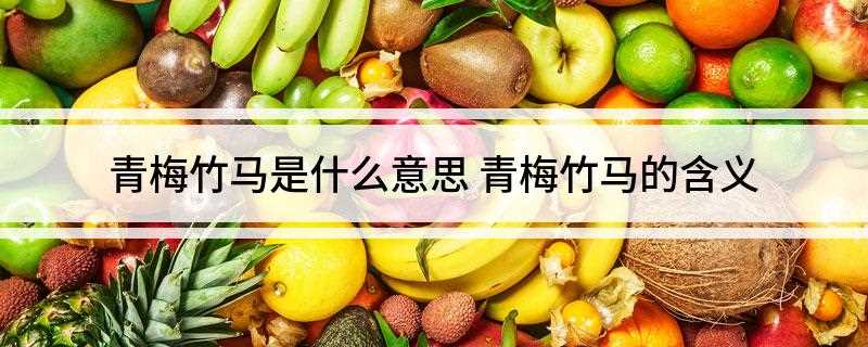 青梅竹马是什么意思(青梅竹马的意思是什么)
