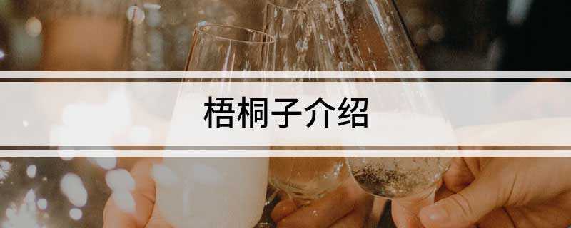 梧桐子介绍(梧桐子这种药材还具有不错的清热除火的保健功效)
