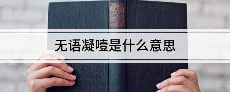 无语凝噎是什么意思(执手相看泪眼,竟无语凝噎)