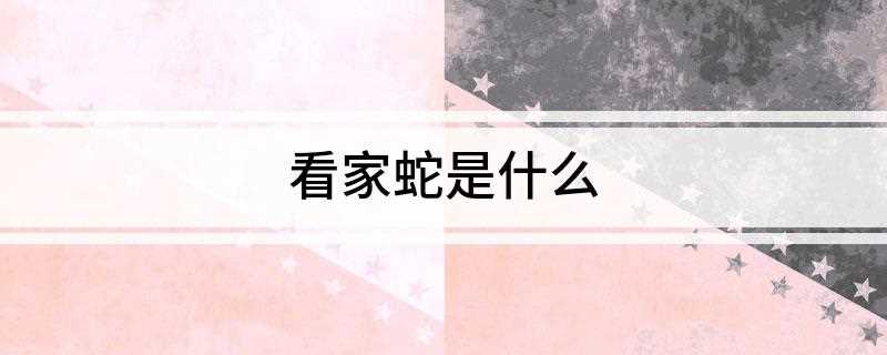看家蛇是什么(“四鳗青”蛇,顾名思义就是用来看护庭院的宠物蛇)