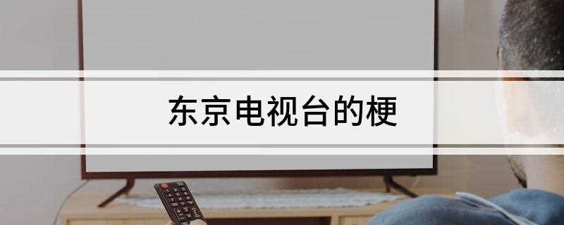 东京电视台的梗是什么梗