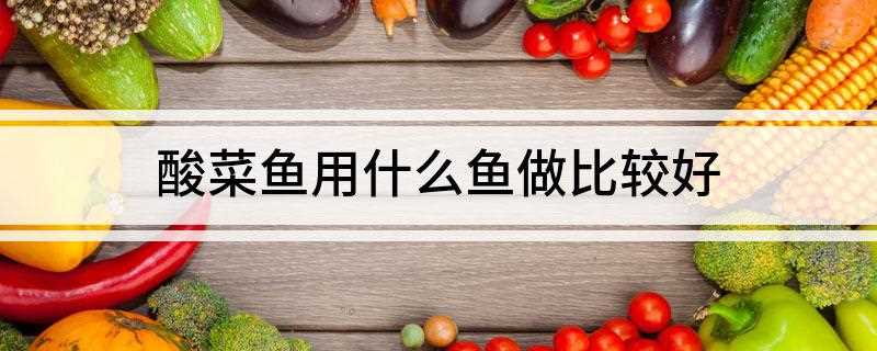 酸菜鱼用什么鱼做比较好
