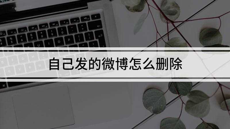 自己发的微博怎么删除(手机新浪微博APP怎么删除)