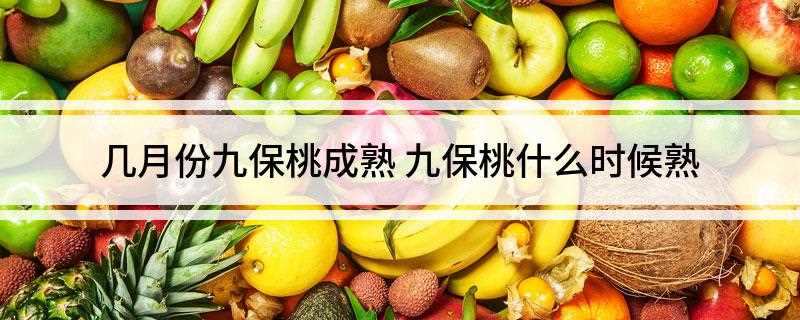 几月份九保桃成熟(大久保桃的生育期并不长,一般200天左右。)