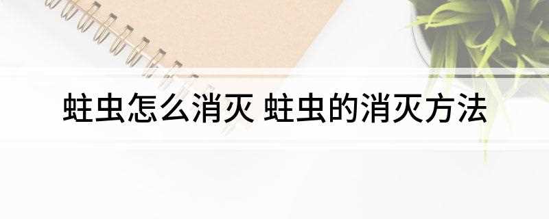 蛀虫怎么消灭(夏天防蛀虫怎么办)
