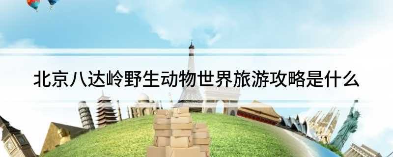 北京八达岭野生动物世界旅游攻略是什么(野生动物园安全注意事项)