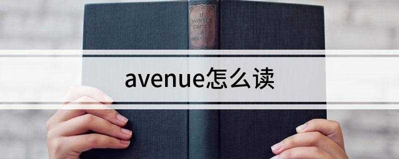 avenue怎么读(冬天泥泞不堪,无法通行)