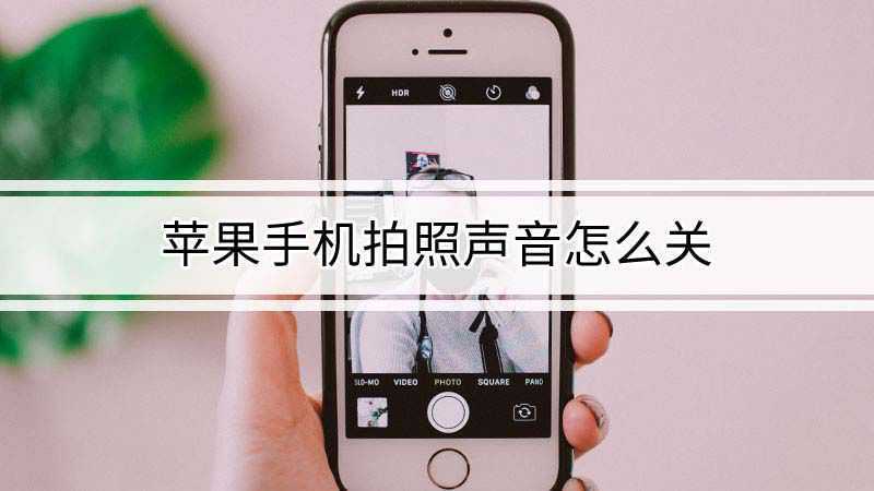 苹果手机拍照声音怎么关(苹果手机关掉拍照声音的方法)