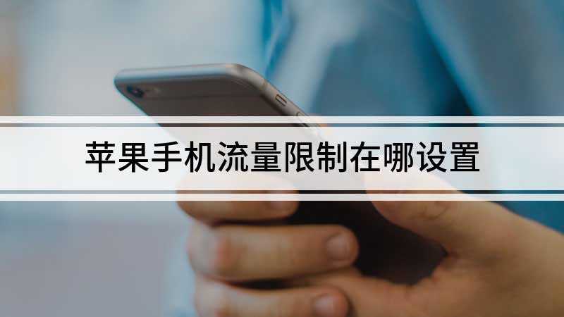 苹果手机流量限制在哪设置(苹果手机流量限制的设置方法)