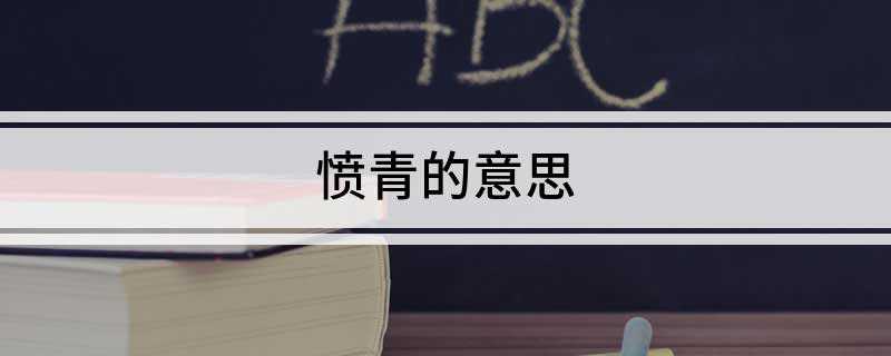 愤青的意思(“愤青”是什么意思)