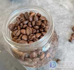 咖啡豆和可可豆的区别(咖啡豆和可可豆有什么区别)
