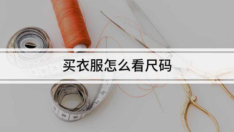 买衣服怎么看尺码(买衣服怎么看尺码尺码)