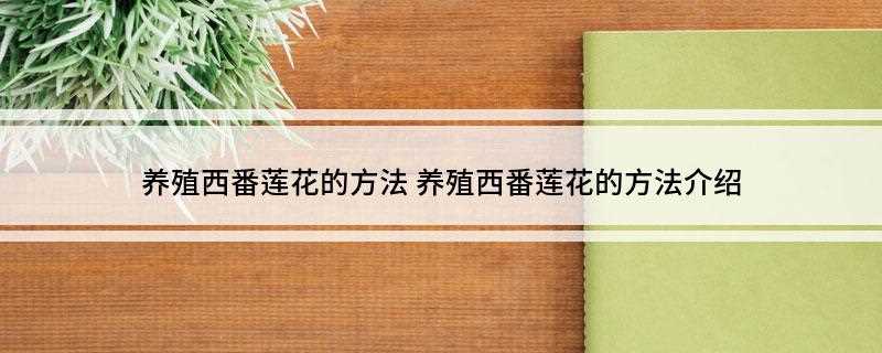 养殖西番莲花的方法(西番莲的繁殖方式有哪些)