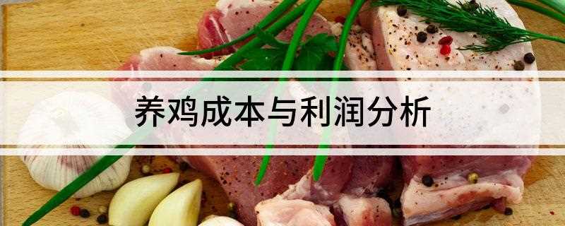养鸡成本与利润分析(2019年土鸡养殖方法)