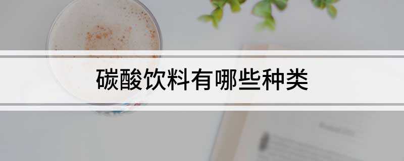 碳酸饮料有哪些种类(碳酸饮料(汽水)可分为果汁型、果味型、可乐型、低热量型、其它)
