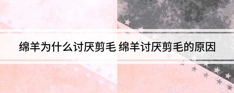 绵羊为什么讨厌剪毛(绵羊一般是不讨厌剪毛,绵羊会很享受的。)