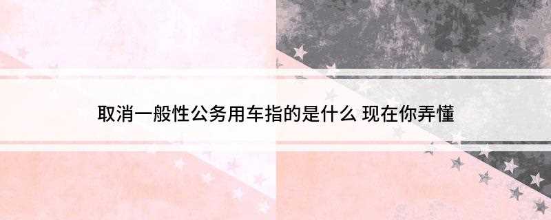 取消一般性公务用车指的是什么(党政机关公务用车选用车型目录管理细则)