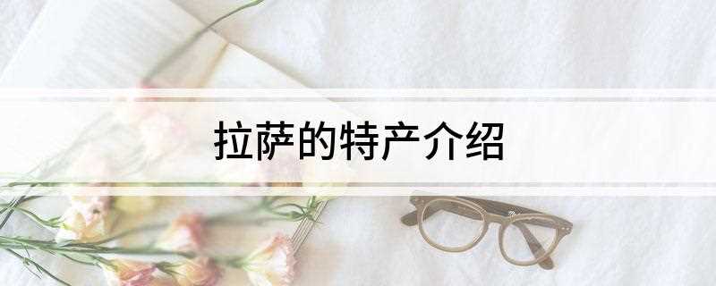 拉萨的特产介绍(西藏文化的精髓有哪些)
