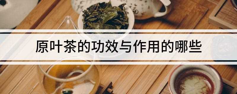 原叶茶的功效与作用 原叶茶的功效与作用的哪些
