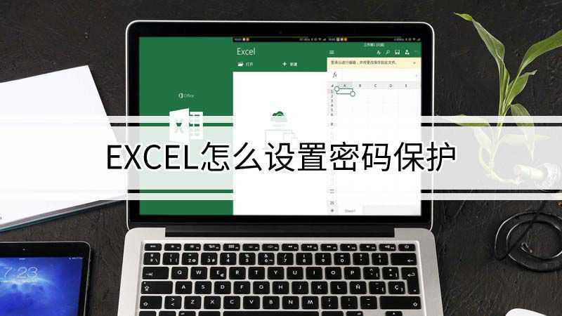 excel怎么设置密码保护(Dell 灵越5000品牌、Windows 10系统、Mic)