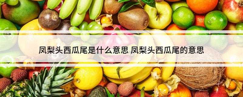 凤梨头西瓜尾是什么意思(凤梨头,西瓜尾的意思!)