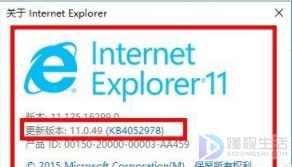 电脑ie浏览器怎么进行升级(电脑ie浏览器如何进行升级)