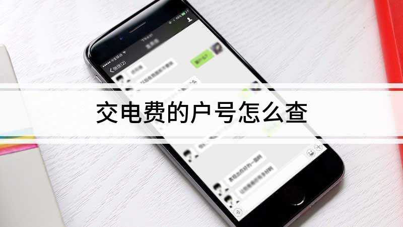 交电费的户号怎么查
