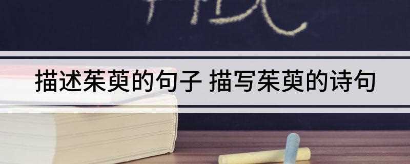 描述茱萸的句子