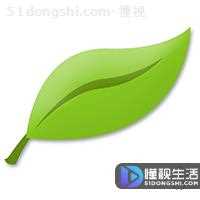 csv文件怎么打开(csv文件是什么)