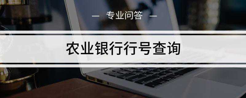 农业银行行号查询(中国农业银行业务功能分析)