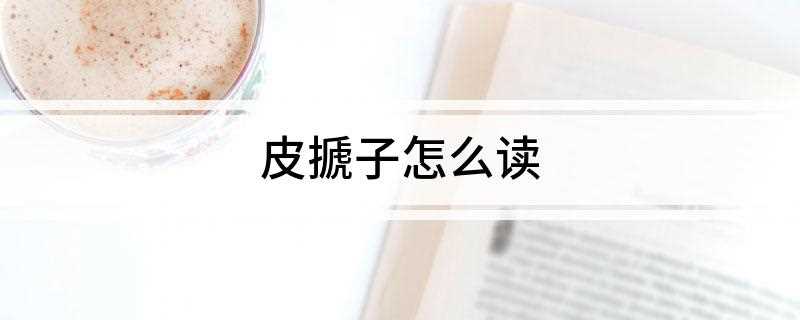 皮搋子怎么读(抽气式马桶疏通器的使用方法)