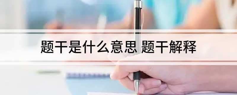 题干是什么意思(item基础知识点总结)