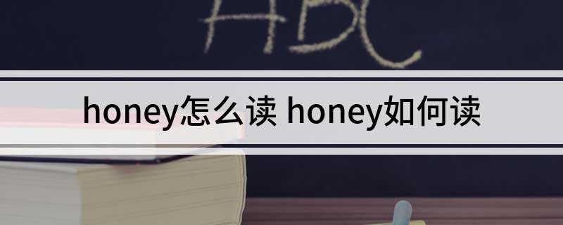 honey怎么读 honey如何读
