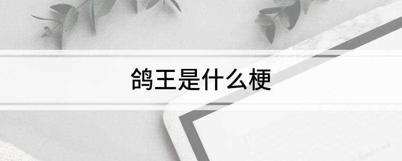 鸽王是是什么意思