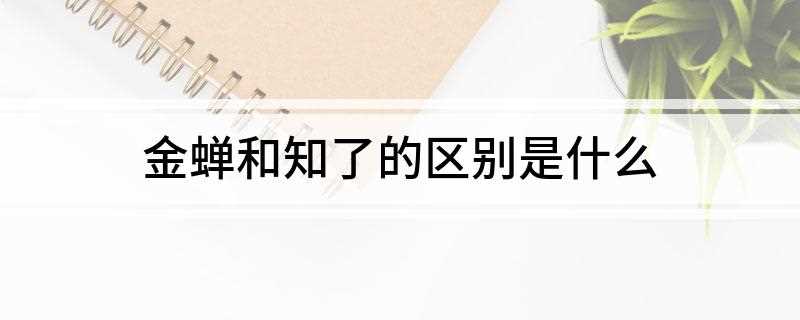 金蝉和知了的区别是什么
