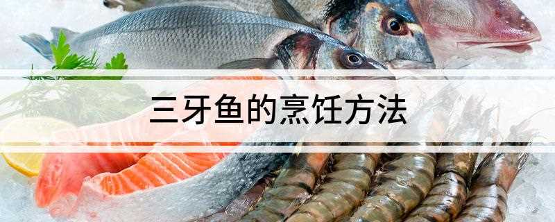 三牙鱼的烹饪方法