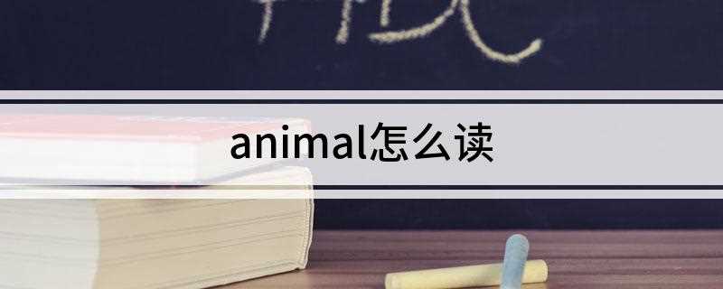 animal怎么读