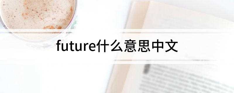 future什么意思中文