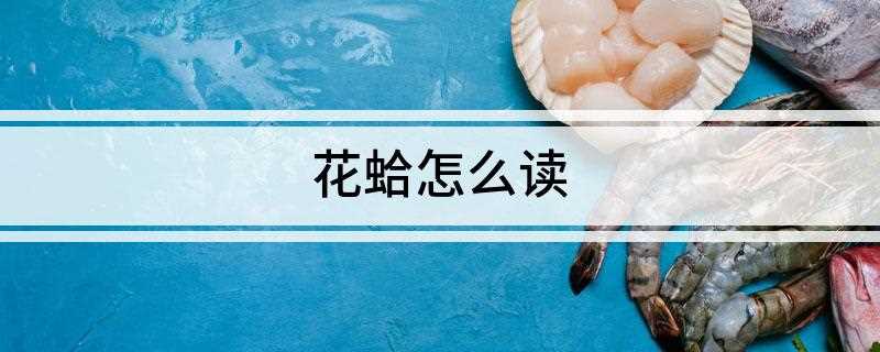 花蛤怎么读