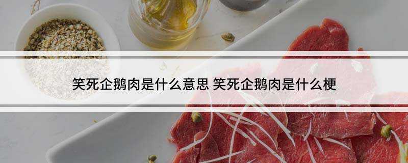 笑死企鹅肉是什么是什么梗