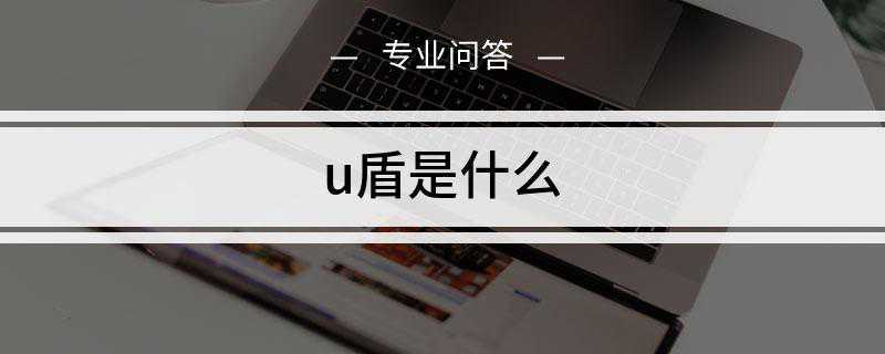 u盾是什么