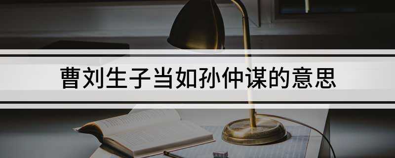 曹刘生子当如孙仲谋的意思(天下英雄谁敌手曹刘。生子当如孙仲谋。)