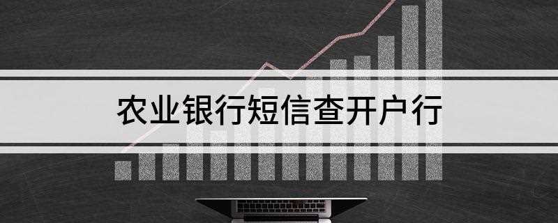 农业银行短信查开户行