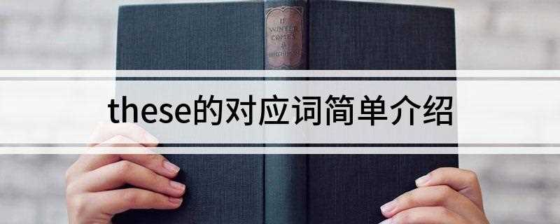 these的对应词是什么