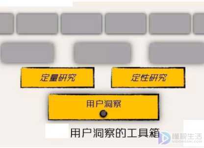 定性和定量的区别(定性与定量区别是什么)