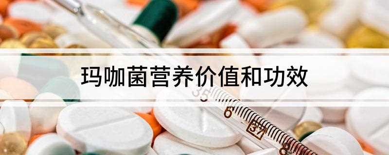 玛咖菌营养价值和功效(玛咖菌的营养价值)