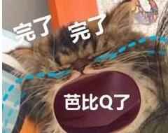 芭比q了梗的意思含义出处介绍
