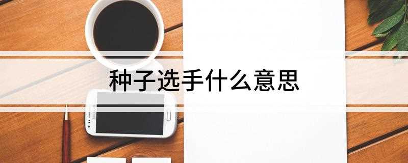 种子选手什么意思