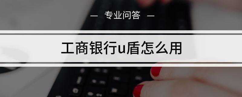工商银行u盾怎么用